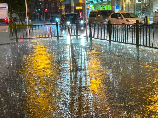 ゲリラ豪雨時の雨漏り対策